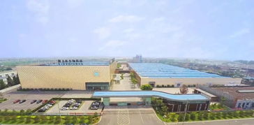 隆力奇 堅守大健康產業，以網絡科技賦能民族品牌振興之路