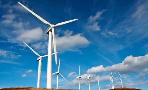 風(fēng)力發(fā)電的危害有多大 歐美都紛紛叫停,為啥我國依舊大力建造